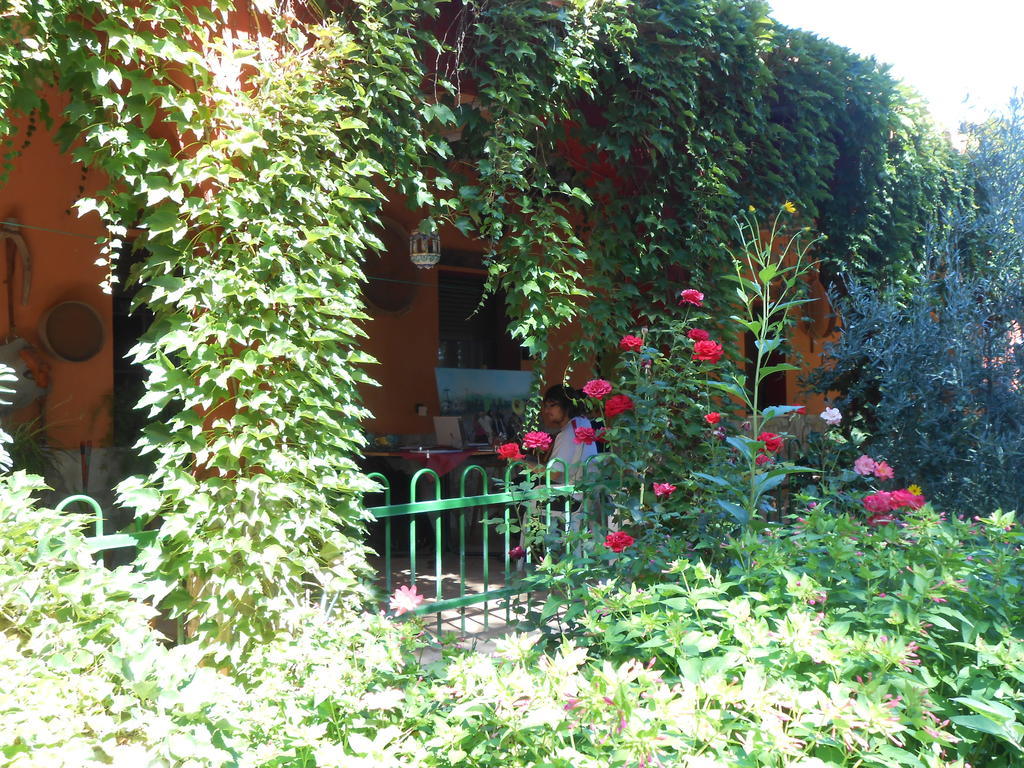 La Derrubia Guest House Villamalea Exterior photo